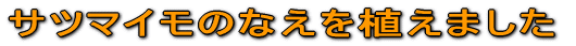 Tc}ĈȂA܂